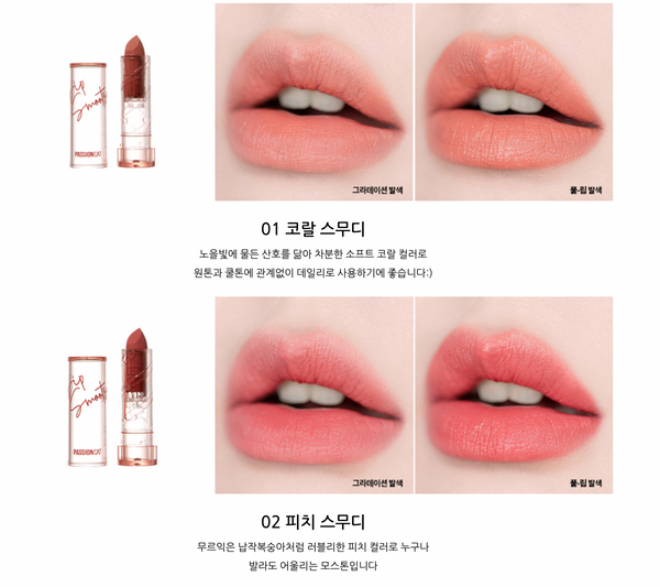 PASSIONCAT Vegan Lipstick Lip Smoothy Matte 패션캣 립스무디 립스틱