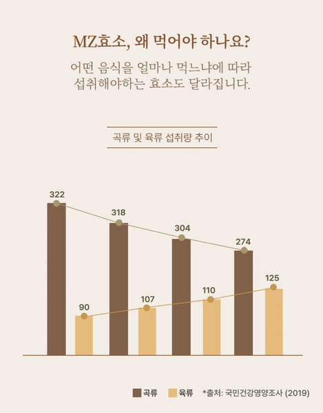 METAenzyme MZ 효소크런치 Cookie Crunch 쿠키크런치