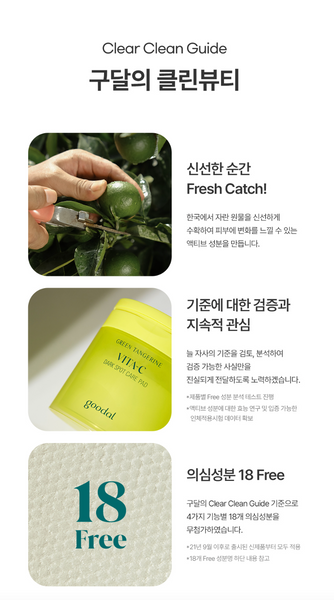 GOODAL Green Tangerine Vita C Dark Spot Care Pad 구달 비타C 청귤패드