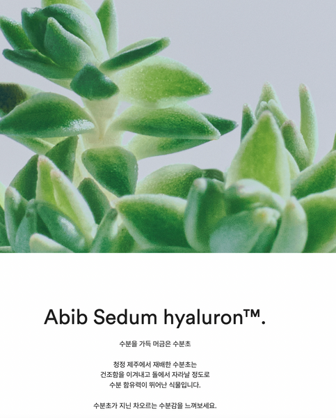 Abib Deep Clean Foam Cleanser Sedum Hyaluron Foam 아비브 수분초 딥클린 히알루론 폼클렌저