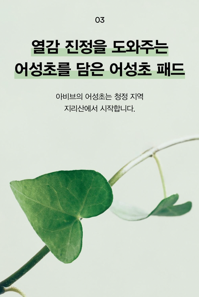 [40%OFF] Abib Heartleaf Spot Pad Calming Touch 아비브 스팟 패드 카밍터치