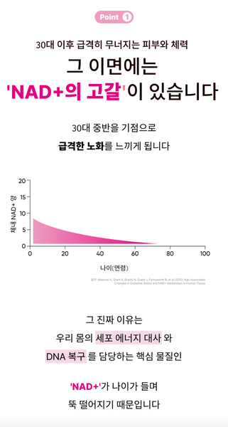 Medison Bell ReNuve Dermacell 4Mula 메디슨벨 리뉴브 더마셀 4뮬러