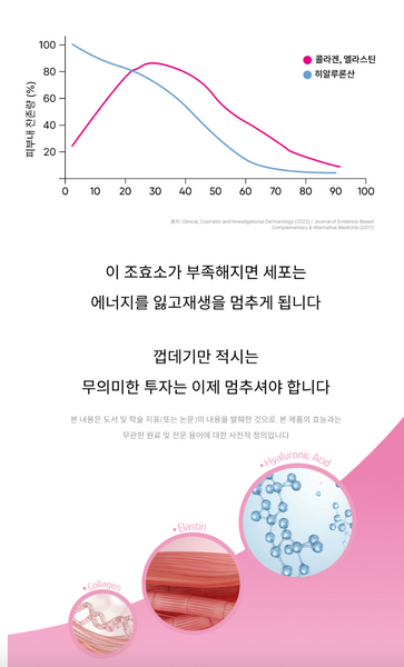 Medison Bell ReNuve Dermacell 4Mula 메디슨벨 리뉴브 더마셀 4뮬러