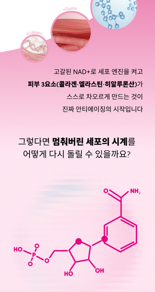 Medison Bell ReNuve Dermacell 4Mula 메디슨벨 리뉴브 더마셀 4뮬러