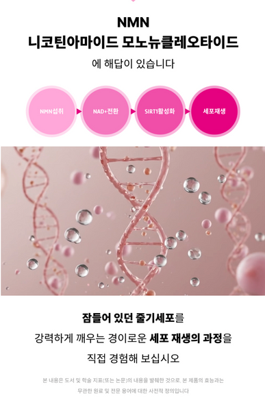 Medison Bell ReNuve Dermacell 4Mula 메디슨벨 리뉴브 더마셀 4뮬러