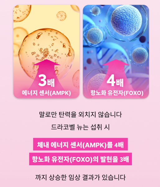 Medison Bell ReNuve Dermacell 4Mula 메디슨벨 리뉴브 더마셀 4뮬러