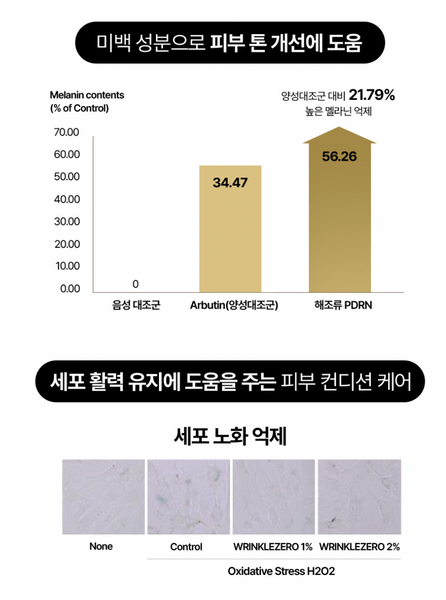 워터리 선세럼 Watery Sun Serum SPF 50+ PA++