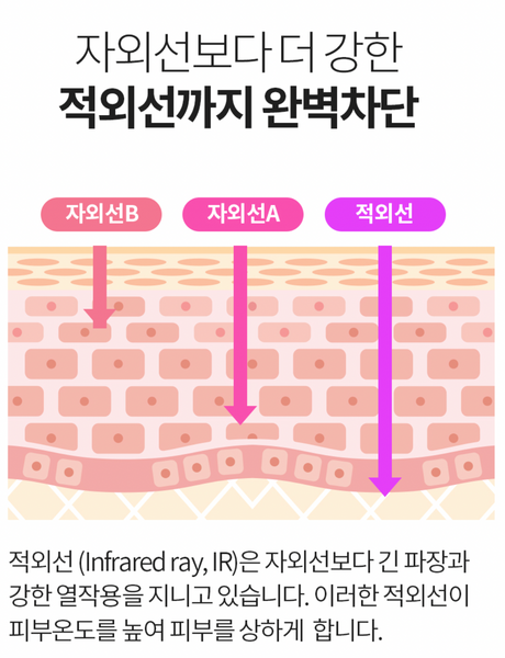 [15%할인] AROCELL 아로셀 톤업 퍼펙트 선