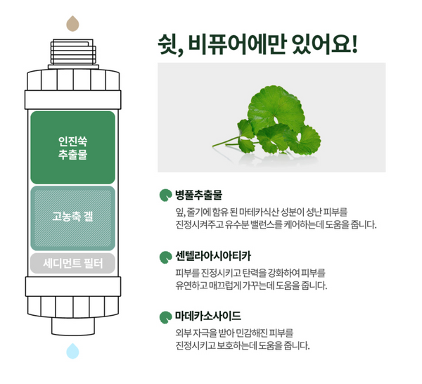 [SALE] Bepure Shower Filter 비퓨어 뷰티 인 워터 필터 쑥